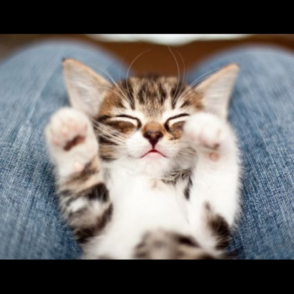 Meet your Posher, Tiffany